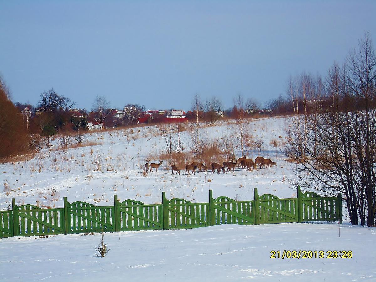 Mazurska Chata Jezioro I Aquapark 6 Min, Centrum I Promenada 12 Min มิโคไวกี ภายนอก รูปภาพ
